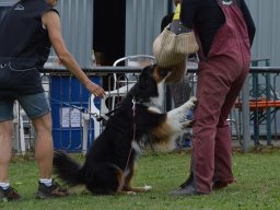 01.07.2023 offenes training 21